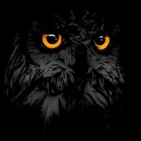 Сова-тайник