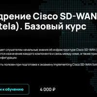 Внедрение Cisco SD-WAN (Viptela). Базовый курс