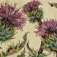 Нарциссический гарем, порнозависимость и другие виды дисфункциональных паттернов