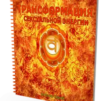 Правильное воздержание. Трансформация сексуальной энергии