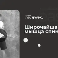 Широчайшая мышца спины