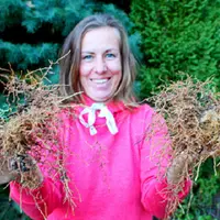 Зеленое черенкование. Выращивай и зарабатывай