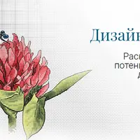 Дизайнер схем для вышивки крестом