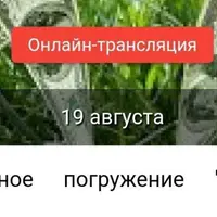 Коллективное погружение «Деньги и достаток»