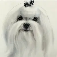 Портретное сходство: домашние питомцы