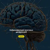 Нейрокоррекция мозговых дисфункций