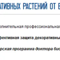 Эффективная защита декоративных растений от вредителей и болезней