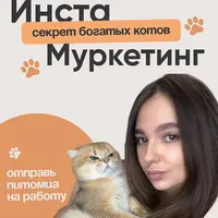 Инста маркетинг: секрет богатых котов