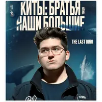 Киты: братья наши большие