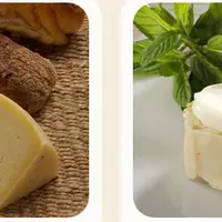 Сыры на каждый день. Качотта и плавленный сыр