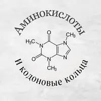 Аминокислоты и кодоновые кольца