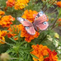 Лепка бабочек из холодного фарфора