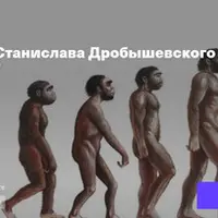 Эволюция – это всегда хорошо?