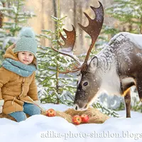 Зимний фотошаблон в PSD: Олень в зимнем лесу