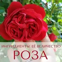 Ингредиенты: её величество Роза