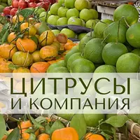Цитрусы и компания