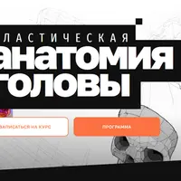 Пластическая анатомия головы