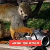 Как найти свое дело жизни и бизнес быстро