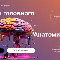 Секреты головного мозга