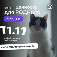 Мои объявления выше