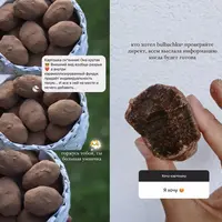 Пирожное картошка "Бульбачка"