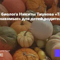 Тыквенные: знакомые и незнакомые