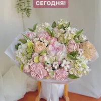 Зефирная флористика