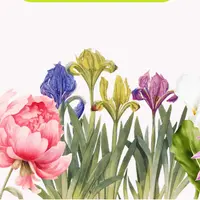 Многолетники: создание малоуходных цветников