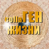 Коллаген Жизни. Взломай систему клеточного омоложения организма