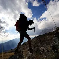 Гюрза, медведь и леопард: кого бояться на хайкинге в Грузии?