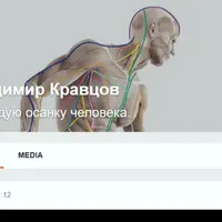 Видеокурс по исправлению осанки: Поиск первопричин