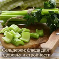 Сельдерей: блюда для здоровья и стройности