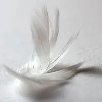 Практикум Очищение