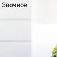 Основы современной психосоматики. 1 триместр