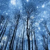 Астрология налегке (декабрь 2024-январь 2025)