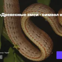 Древесные змеи - символ нового года