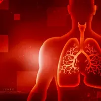 Базовые психофизиологические аспекты дыхания