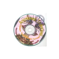 Салемский Лучник — аудионастройка