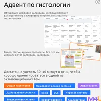 Адвент календарь по гистологии