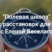 Полевая школа. Курс расстановок для себя