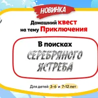 Домашний Квест «В поисках Серебряного ястреба»