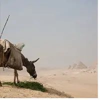 Красная земля: роль пустынь в истории страны фараонов