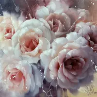 Чайные розы