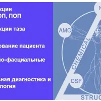 Суставы позвоночника и таза. Принципы диагностики и коррекции функциональных нарушений