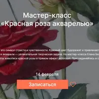 Красная роза акварелью