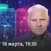 Мозг на пределе. Как жить в эпоху информационных перегрузок