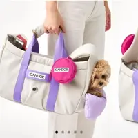 Сумка для питомцев Пэтси