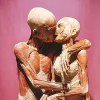 Физиология любви