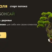 Искусство бонсай