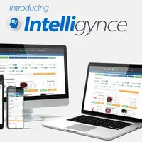 Сервис поиска товаров для электронной коммерции Intelligynce